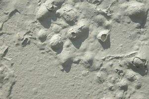 CAT RUMAH MENGGELEMBUNG