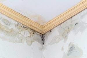 TANDA DINDING REMBES